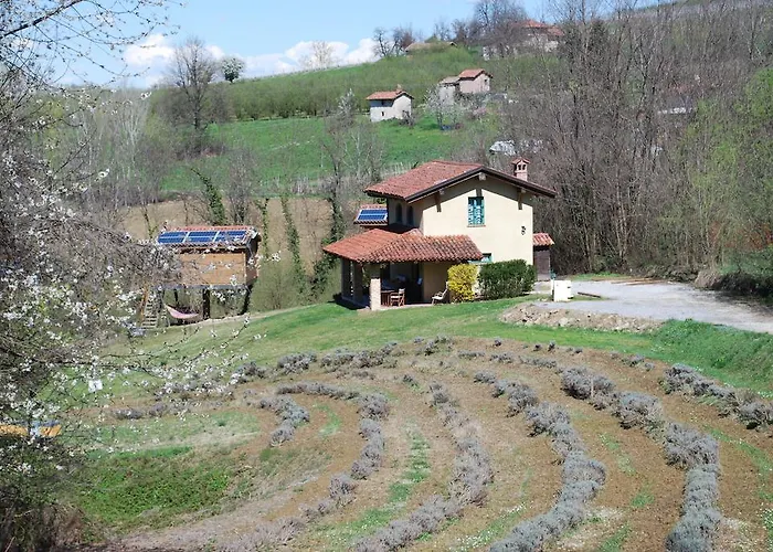 Langhe *