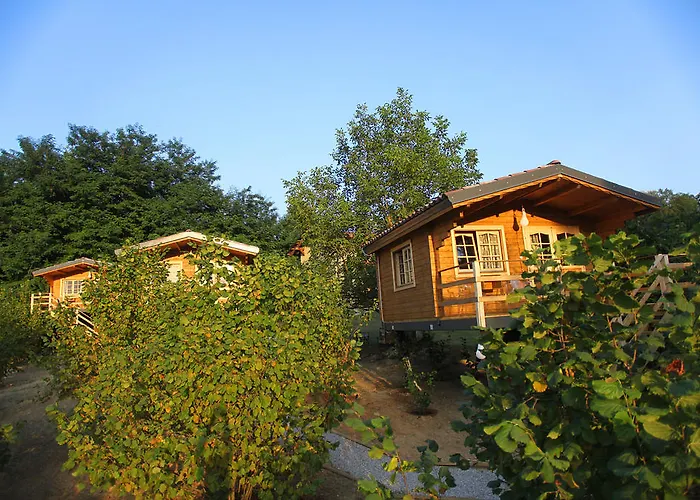 Hétvégi ház Langhe